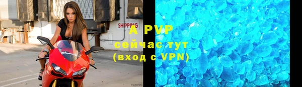 a pvp Белокуриха